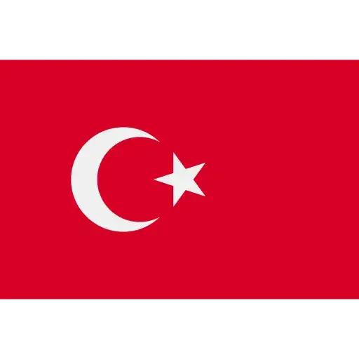 Türkçe